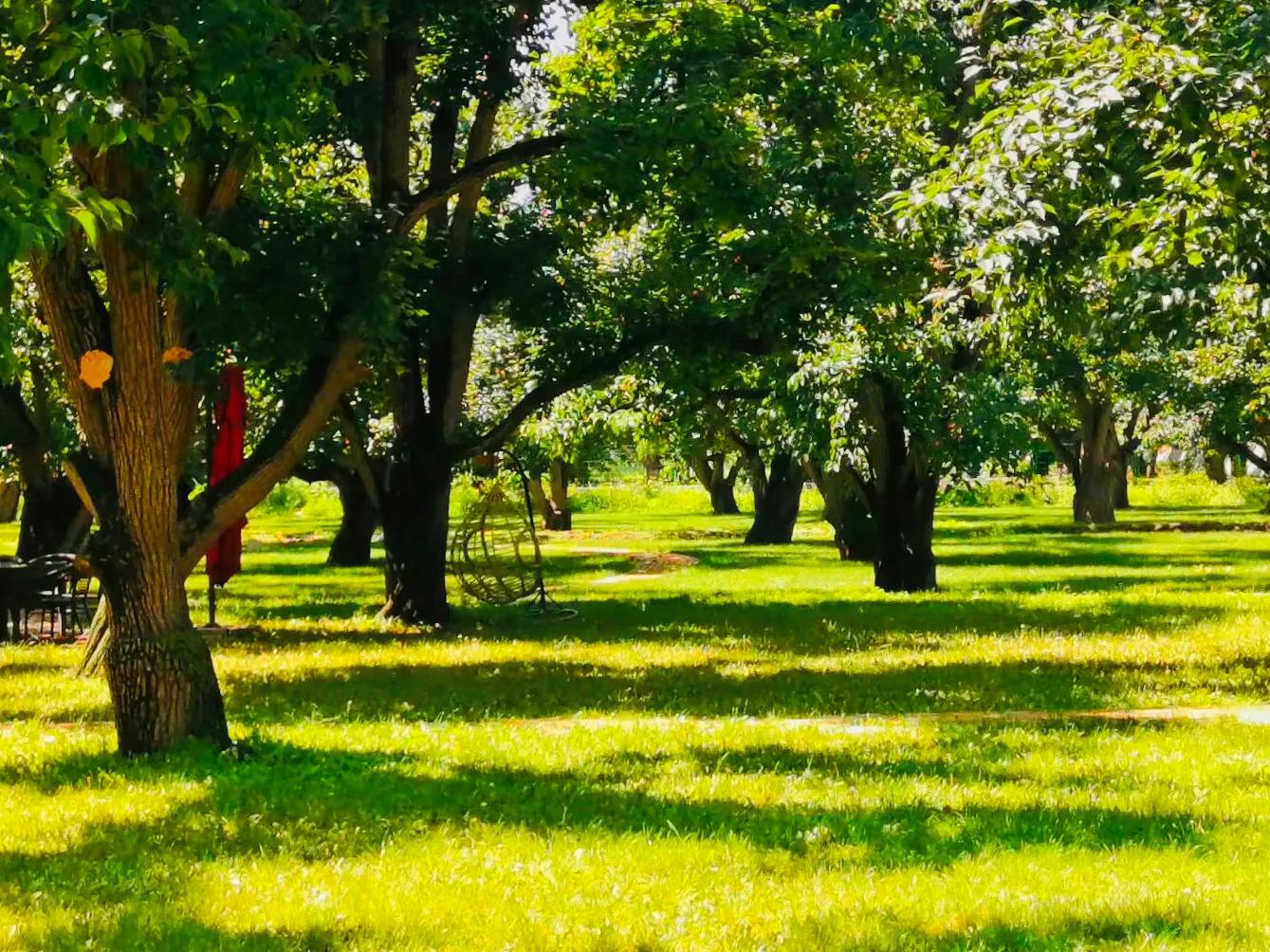 兰山絮语的作者,兰山话方言
