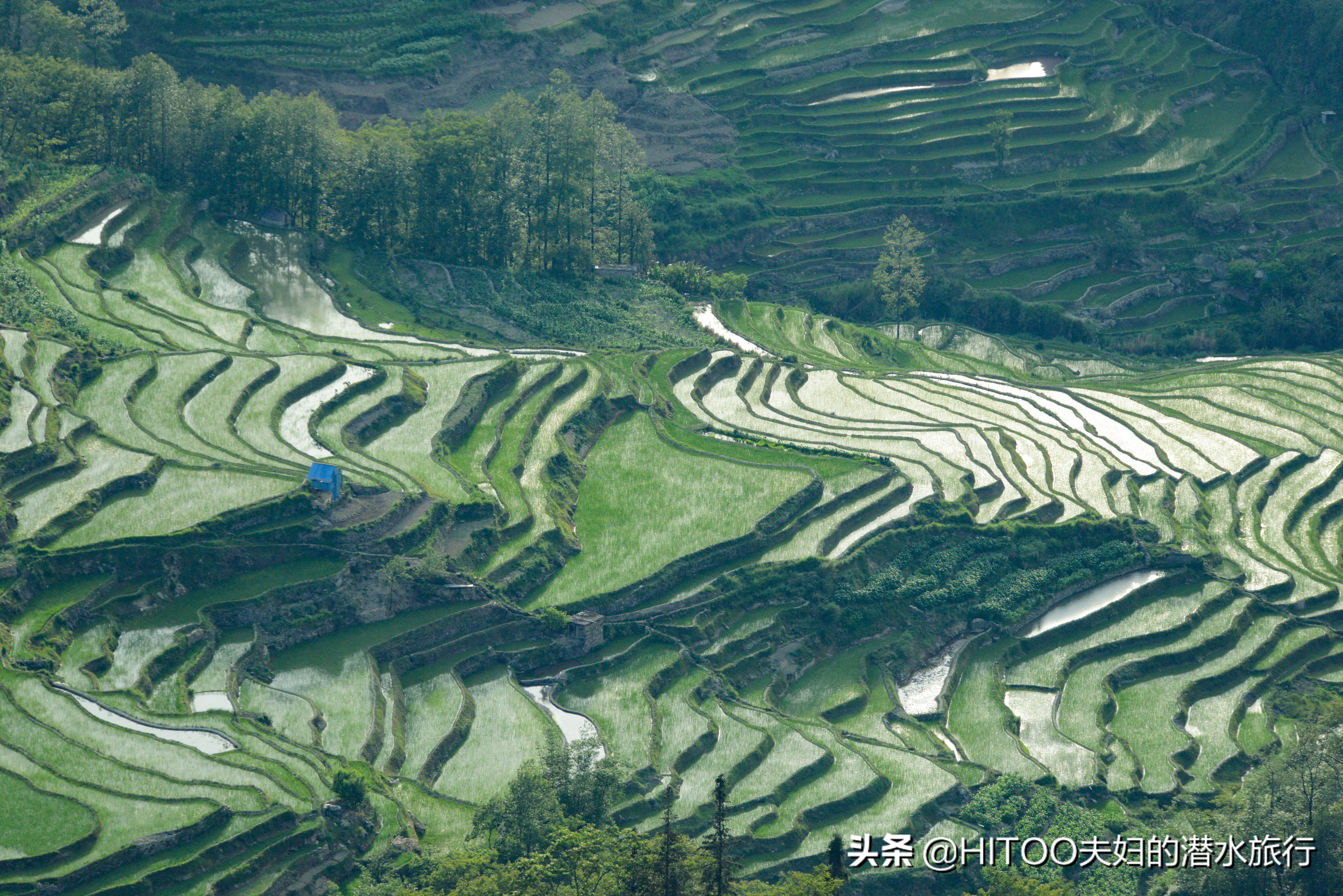 不花钱看元阳梯田自驾攻略,元阳梯田自驾游攻略