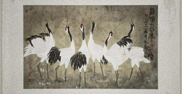 丹顶鹤的顶真的有剧毒吗,丹顶鹤顶红是什么原因