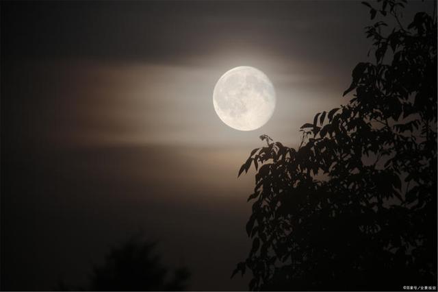 日语优美的词,日语意境好的词语