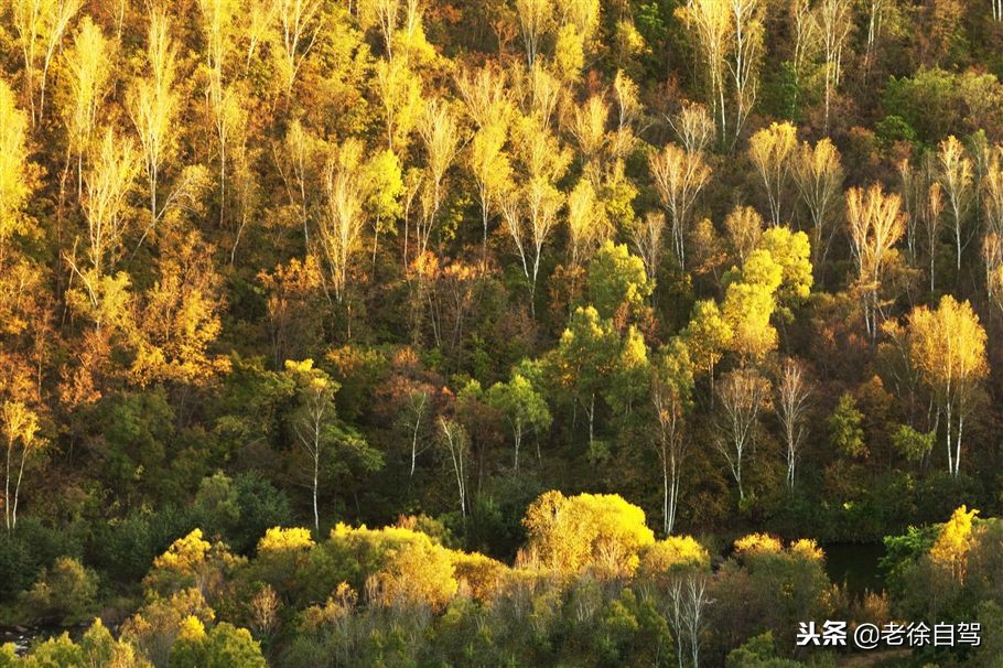 有黑河这条河吗,黑河的河是黑色的吗