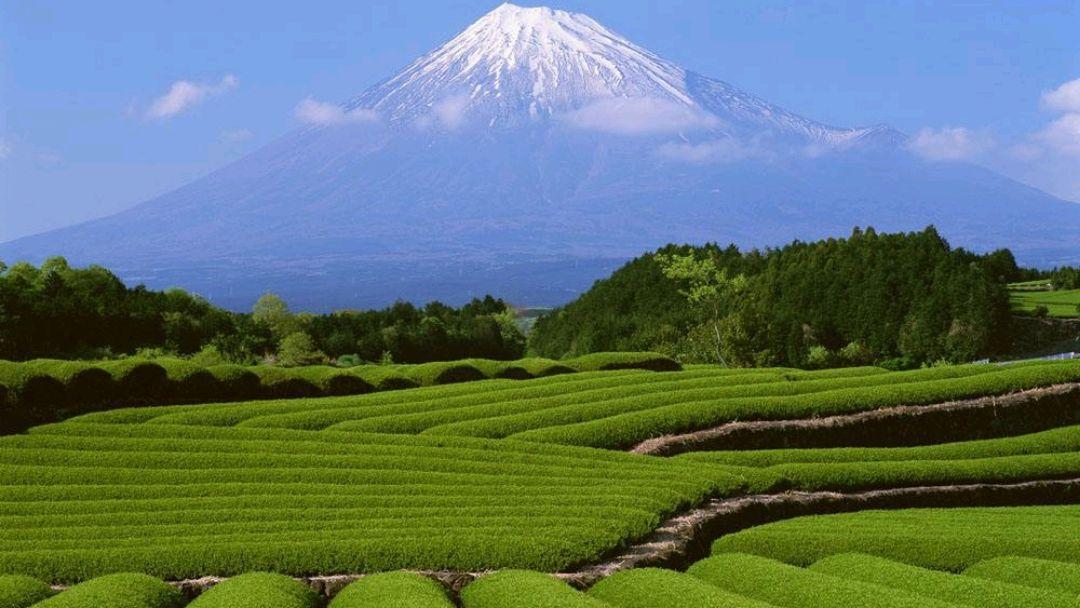 农村老人讲住宅俗语,农村俗语房子忌讳