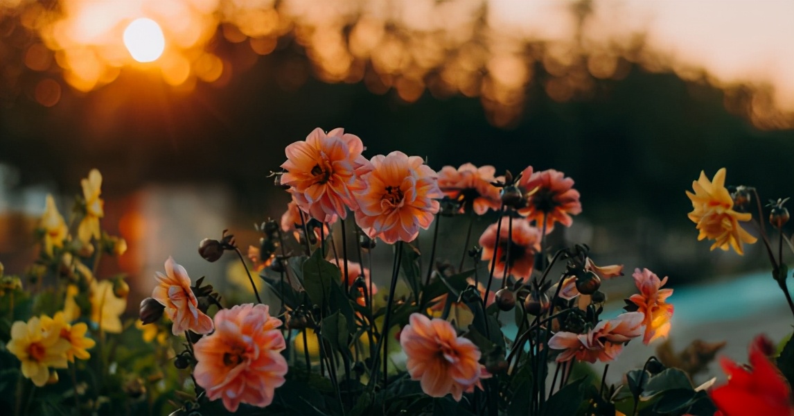 故事：总是来我家蹭饭的隔壁男神，这次是以我男朋友身份来的