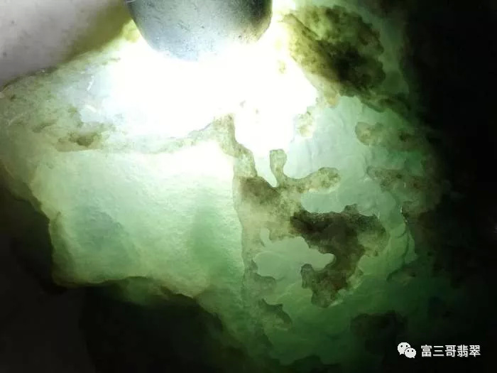 你分得清月季和玫瑰吗,你分得清绿茶吗