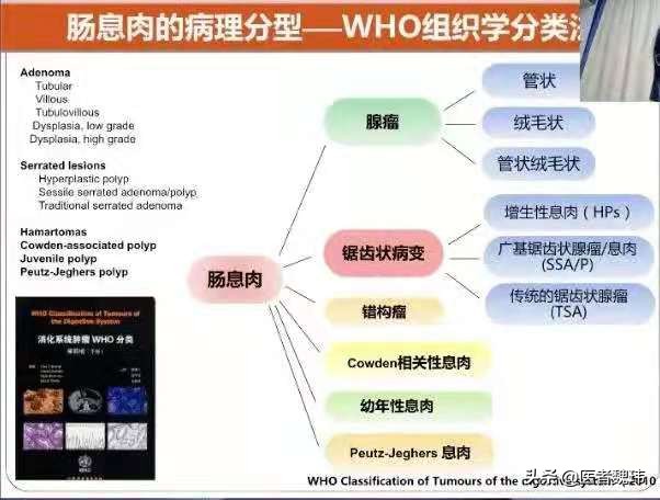 读病理报告,病理诊断结果是息肉