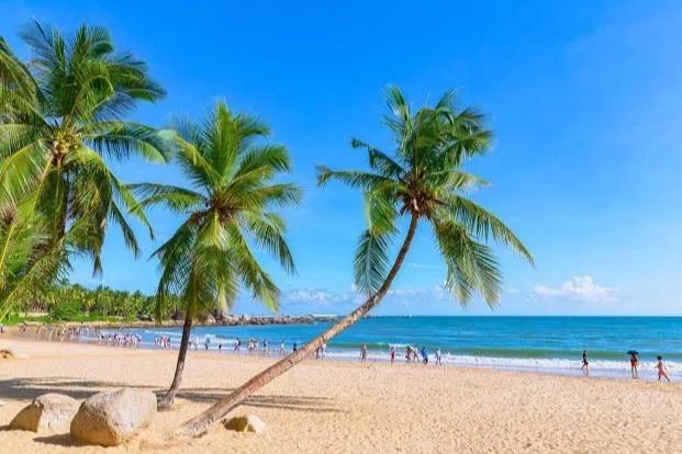 高温下的阳光沙滩海浪,为什么现在不出国也能买免税产品