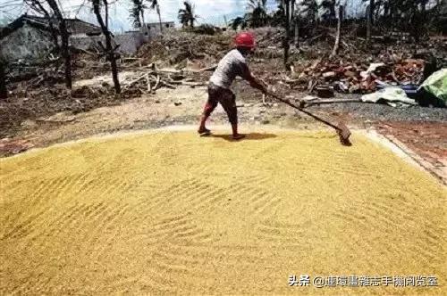 种地顺口溜大全集,种地忙顺口溜