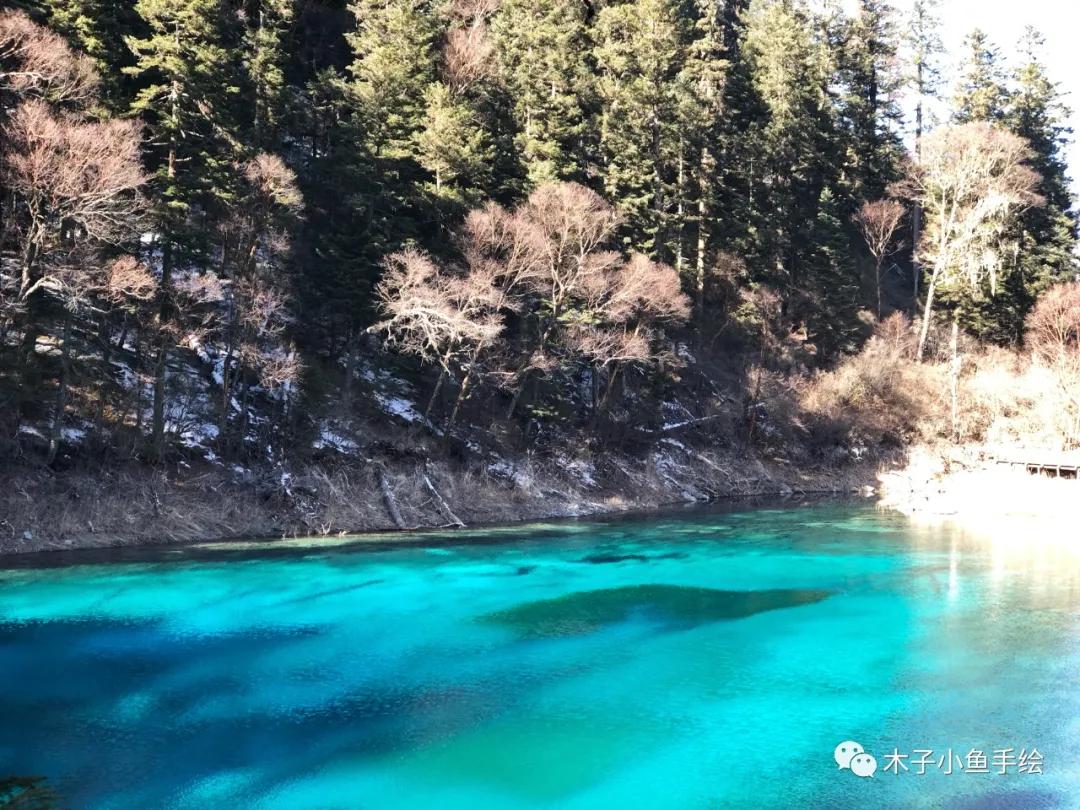 2021九寨沟官方视频,九寨沟跨年夜