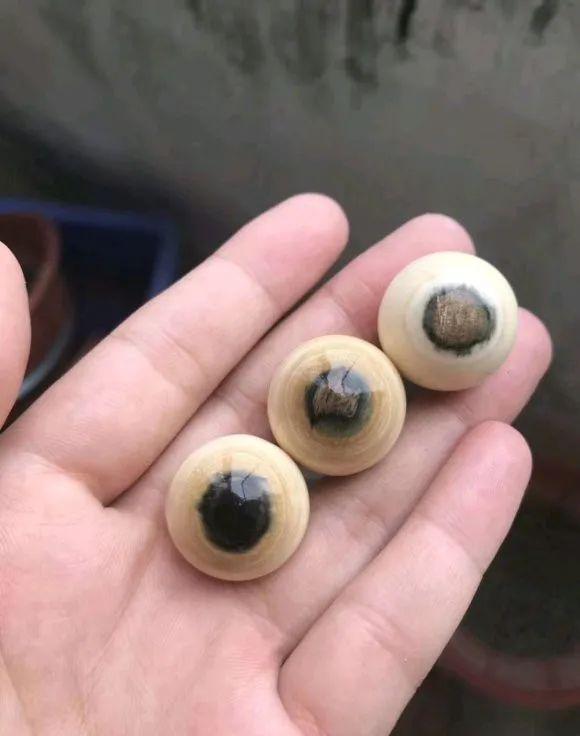 文玩有哪些坑人,文玩手串可怕吗