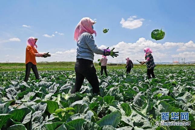 脱贫攻坚取得的伟大成就,彪炳史册的脱贫攻坚疫情防控