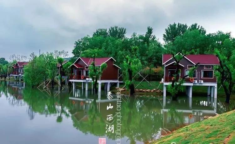 泰山案例,西湖印象拍摄地点