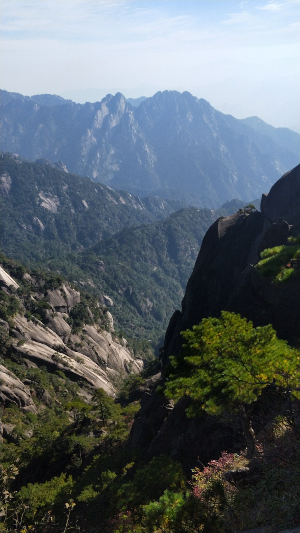 灏戝勾鏃剁殑姊︽兂榛勫北,瀛︾敓鏃朵唬姊︽兂