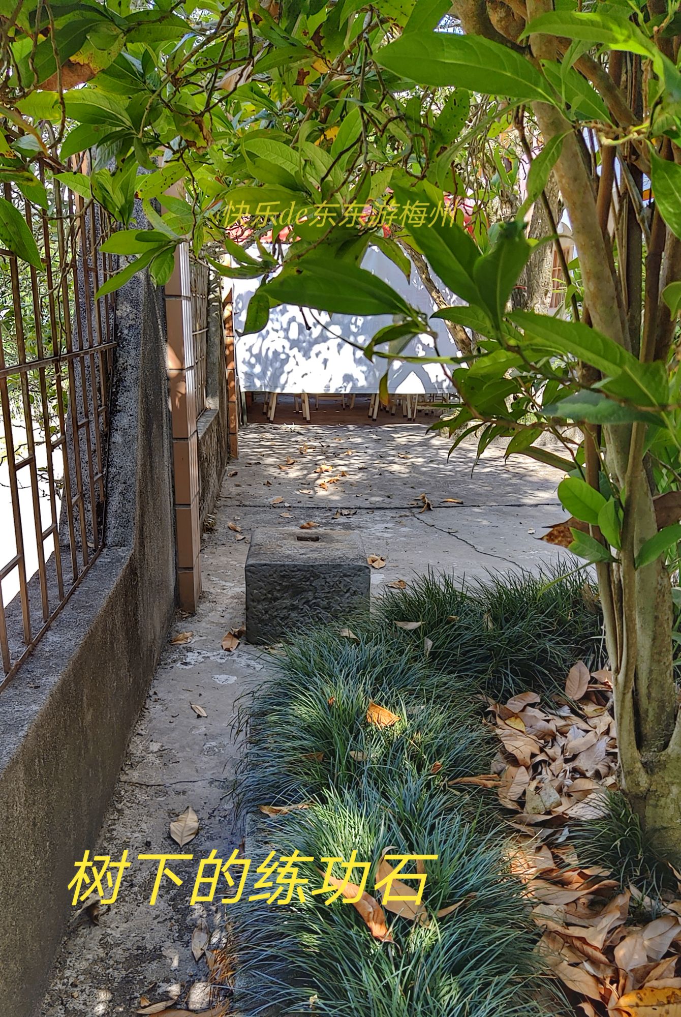 乾隆身边的洋人,乾隆身边人物