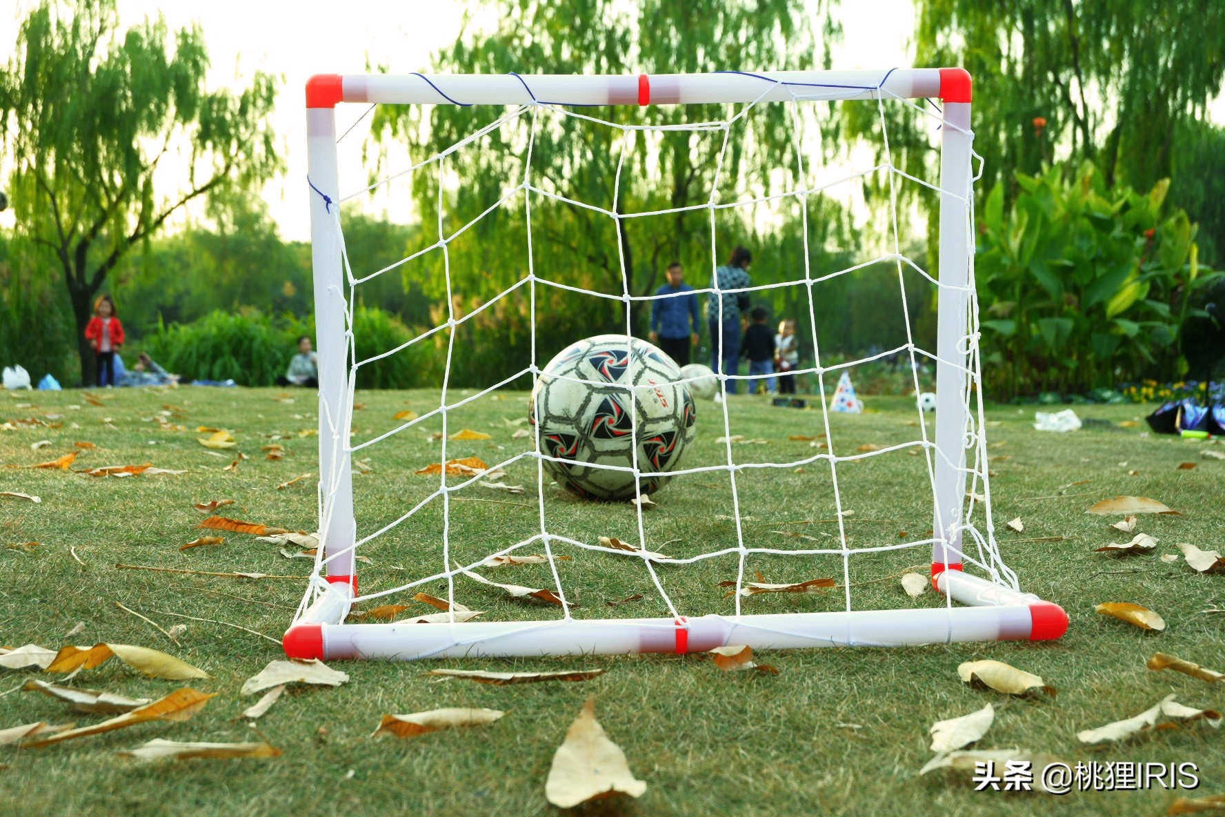 浙江大学钱塘江校区,看浙大钱塘江之江校区视频