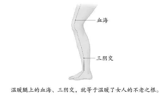 快速消除疲劳穴位按摩,经络养生消除疲劳按摩手法