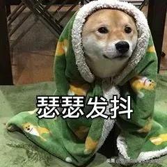 冬训注意事项和禁忌,冬训应知应会