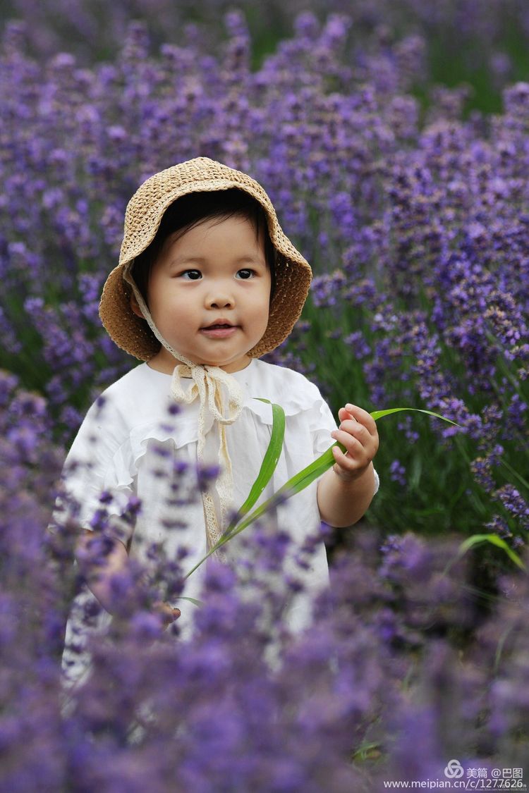 金色童年8张图片,金色的童年相片