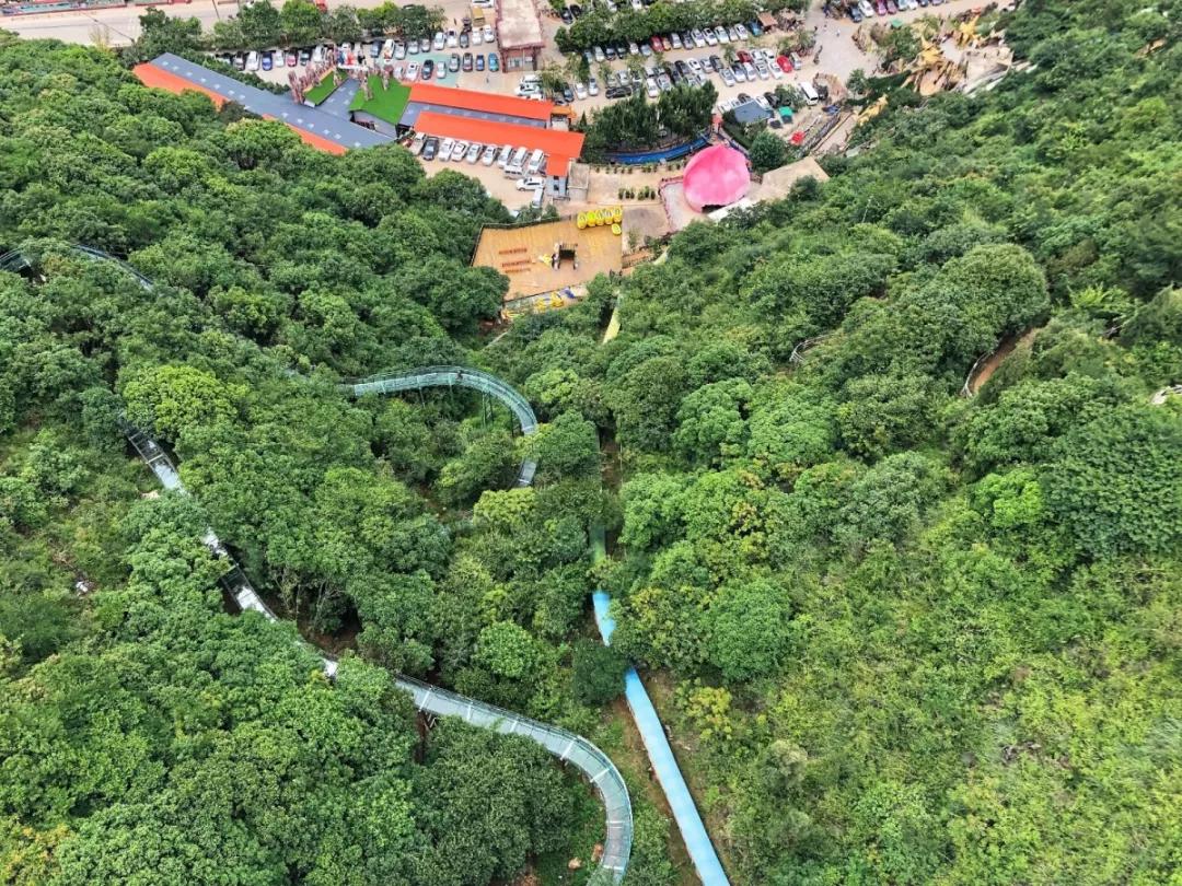 云南旅游热点排名前十,云南旅游繁忙之都