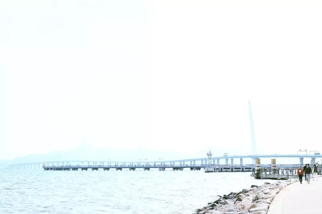 深圳湾公园这里有什么好吃的,深圳湾在哪里