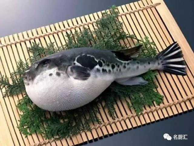 世界顶级海鲜你认识几种类型,世界顶级海鲜