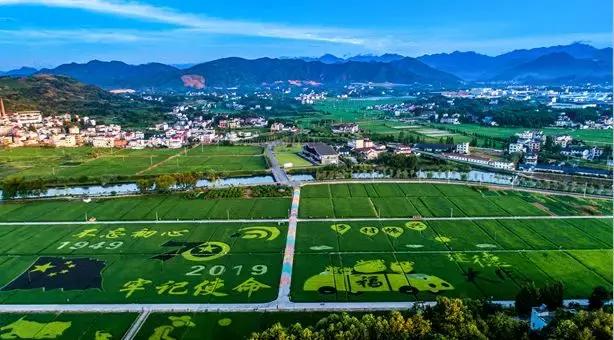 震撼！钱塘江畔出现巨型画作，有28个足球场这么大！