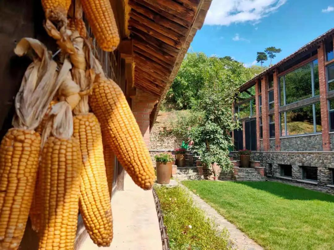 清华和文旅助力乡村振兴,清华同衡乡土景观