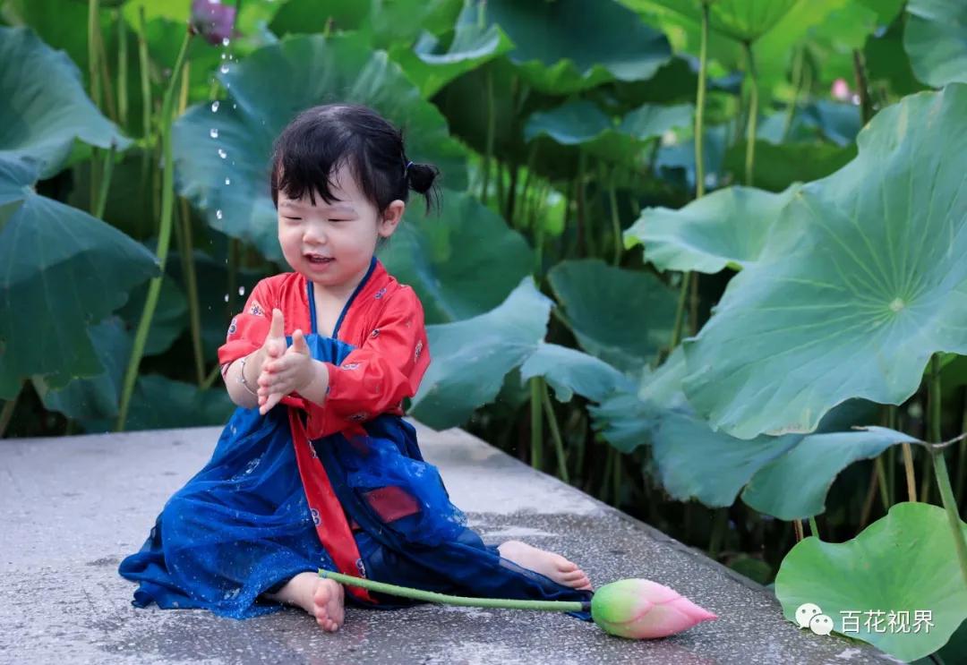 邯郸市女性摄影家,邯郸市女子摄影协会