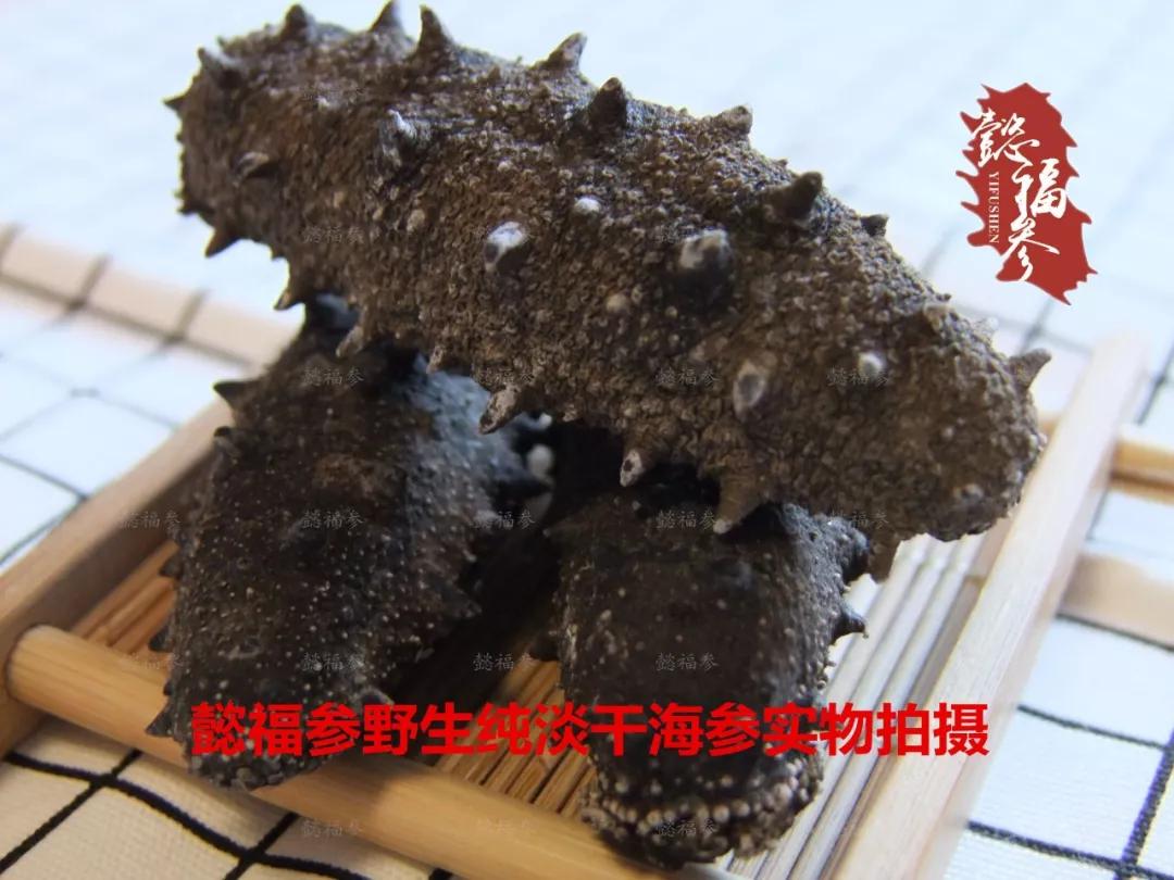 什么样的海参是比较好的海鲜,什么样的海参质量好有养分