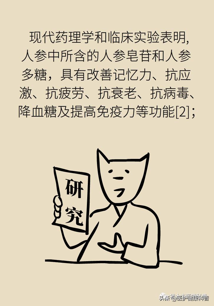 人参红参西洋参哪个提高免疫力好,人参党参红参西洋参有什么区别