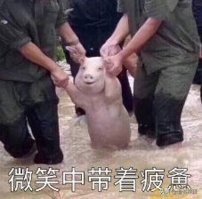 连《无限恐怖》都没看过，难道你只看龙傲天种马文吗？