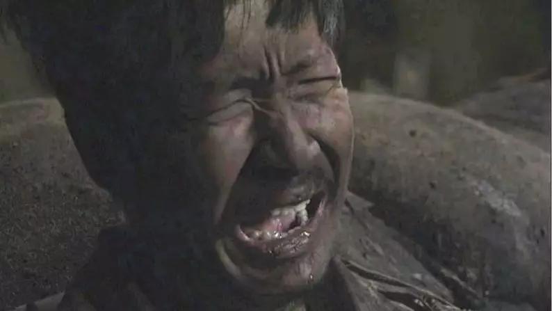 豆瓣评分8以上国产战争电视剧,豆瓣高分国产战争电影