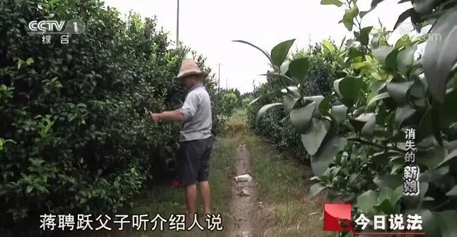 央视曝光!广西多名新娘离奇失踪,背后真相令人愤怒