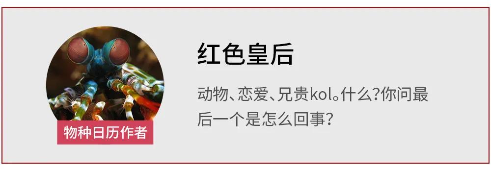 被剥夺体力、脑力甚至呼吸，都因为这道“传统美食”