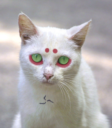 火影忍者真人cosplay写轮眼,火影cos现场