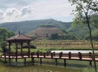 四会哪里有沙糖桔种植基地,四会桔子小镇沙糖桔