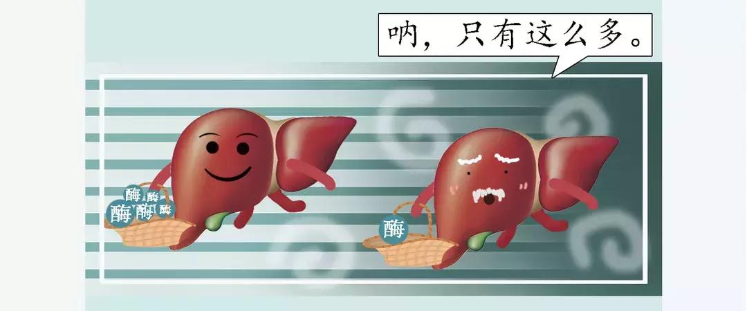 酵素是不是治百病,酵素健康是骗局吗