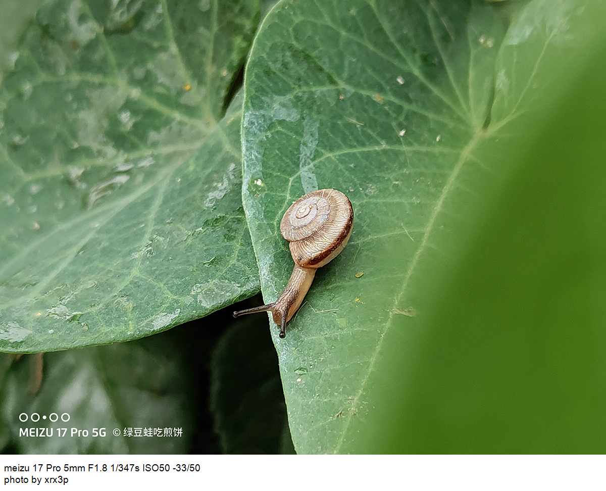 魅族17pro拍照怎么用,魅族17pro拍照体验