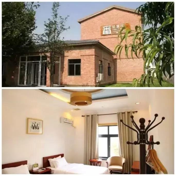 番茄如何赚钱,如何打造一个100亩盈利的农庄