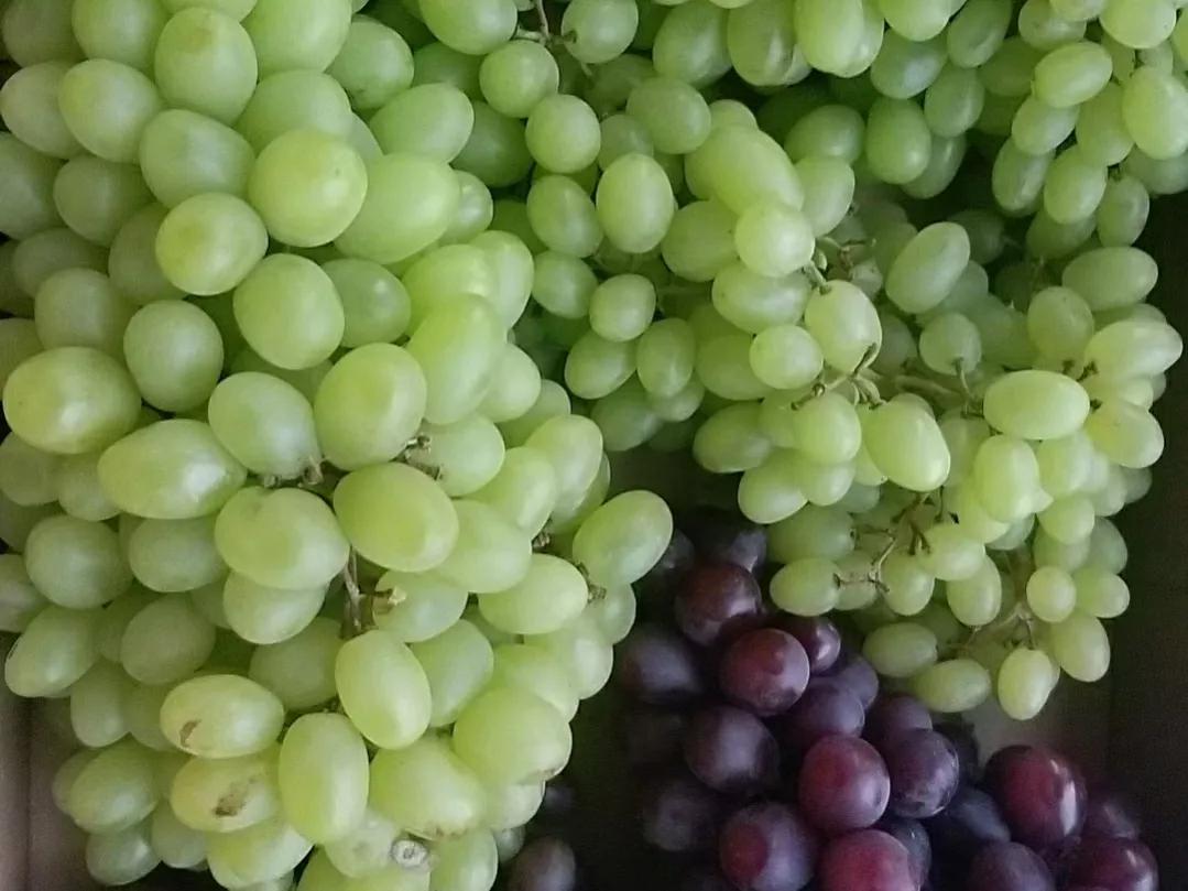 中秋节送礼送50岁男士长辈礼物,中秋节送礼送什么给长辈