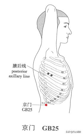 人体期门穴准确的位置,人体郄门穴位置