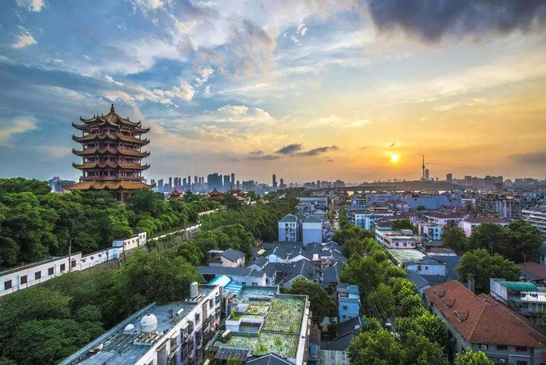 全国各高校esi上榜学科,湖北高校esi前1%学科名单