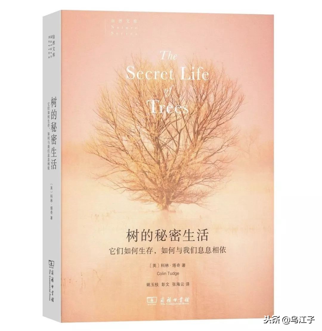 商务印书馆2023十大推荐书目,商务印书馆2023年度十种好书