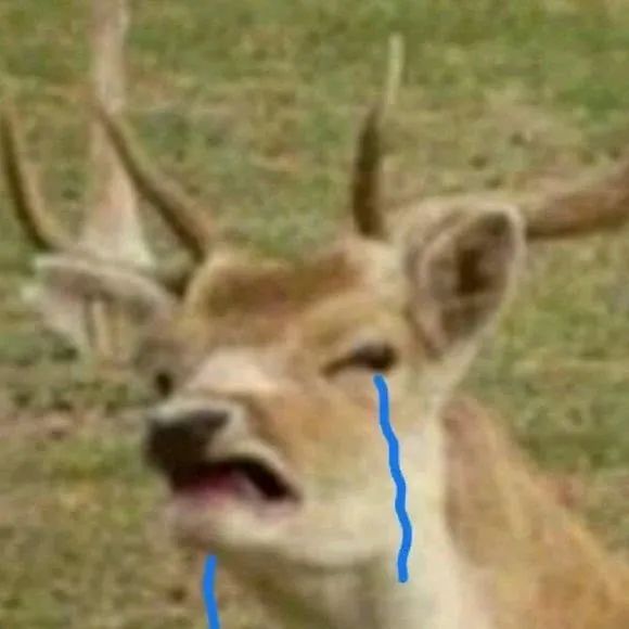 琼版iphonese,琼版iphone