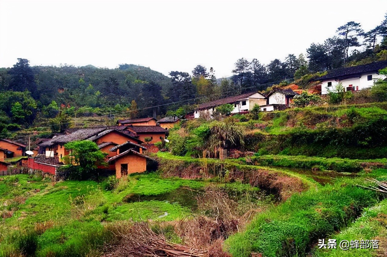 马云说未来农村致富好项目,马云预言农村未来三个行业最赚钱