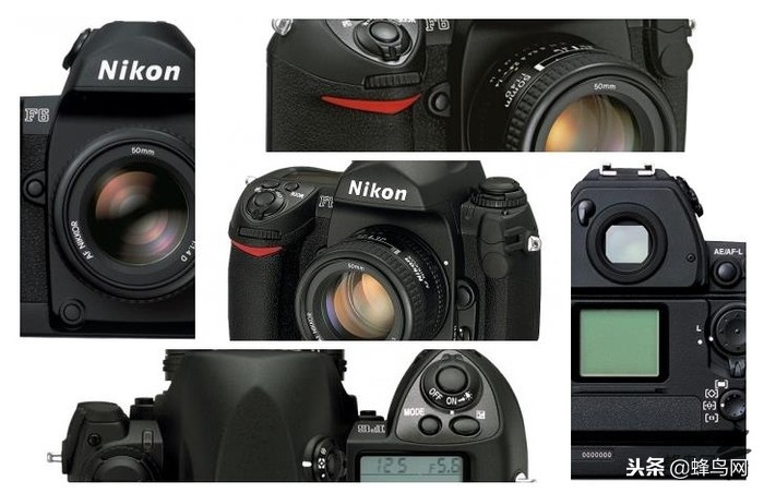 尼康的变革,尼康信仰