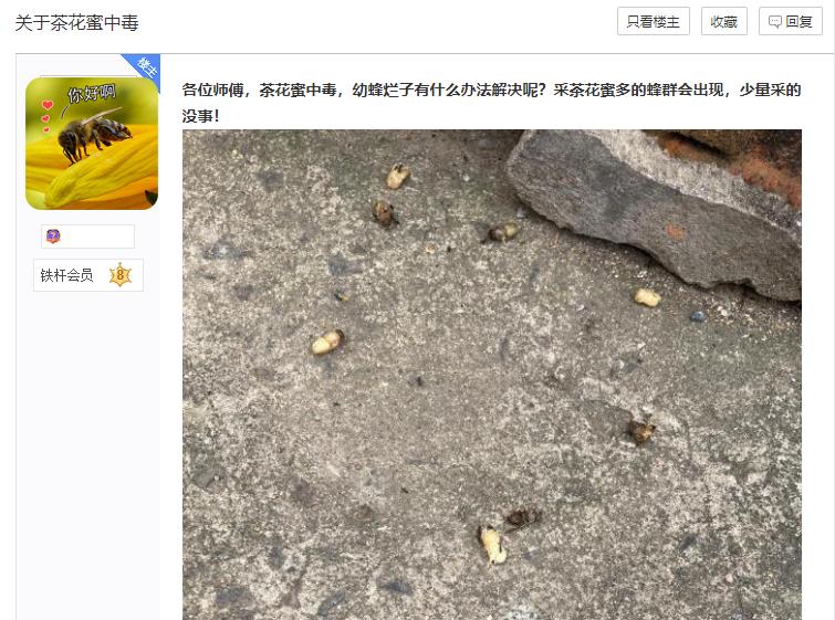 秋季蜜蜂大量死亡怎么解决,蜜蜂死亡的十大原因