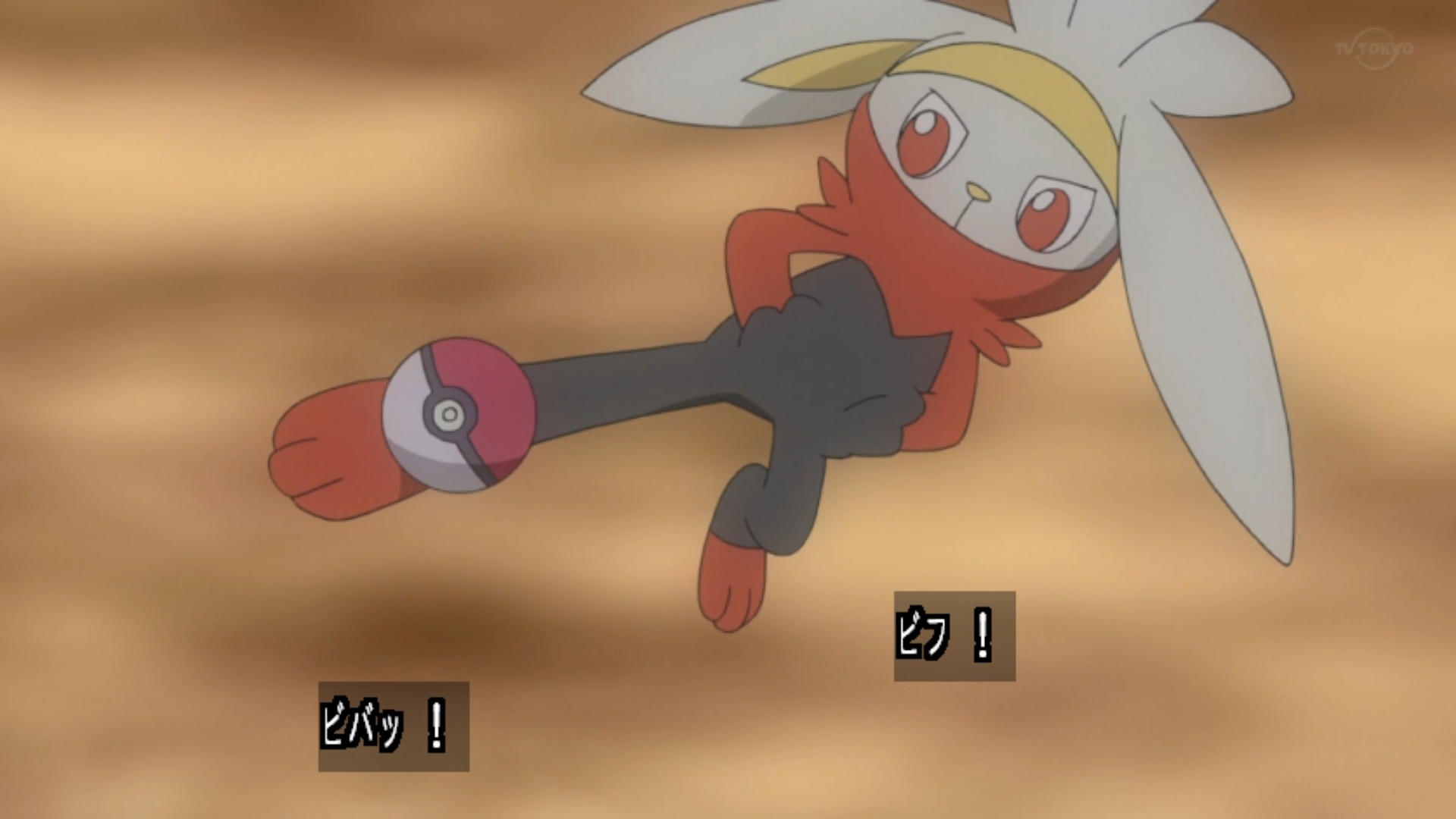 小豪会收服沙漠蜻蜓吗,小豪收服了哪些阿罗拉宝可梦