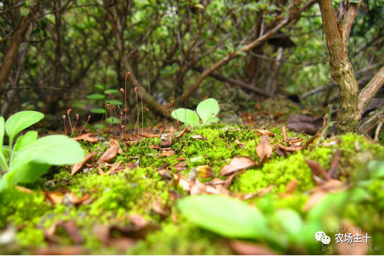 你是否曾经也向往过农村生活,向往田园生活和体验往往有差距