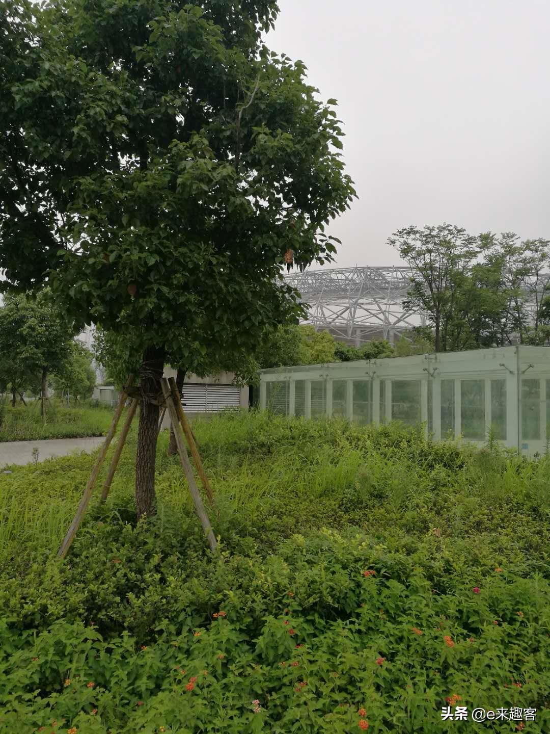 温州体育中心亚运场馆,温州奥体中心在国内排名