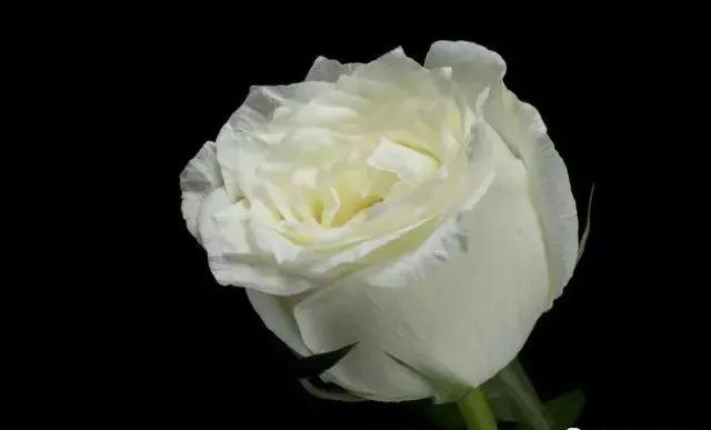 每天学习一点点女性小常识,每天学习一点点科普一下